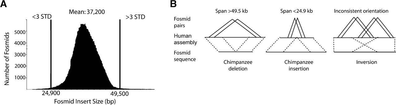 1344fig1