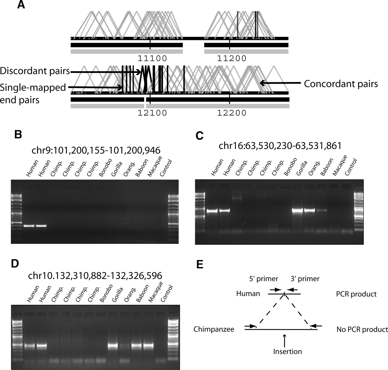 1344fig3
