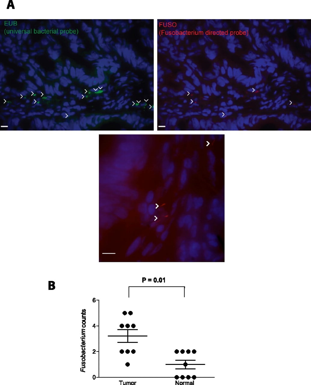 292fig3