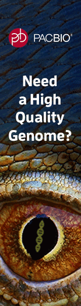 PacBio