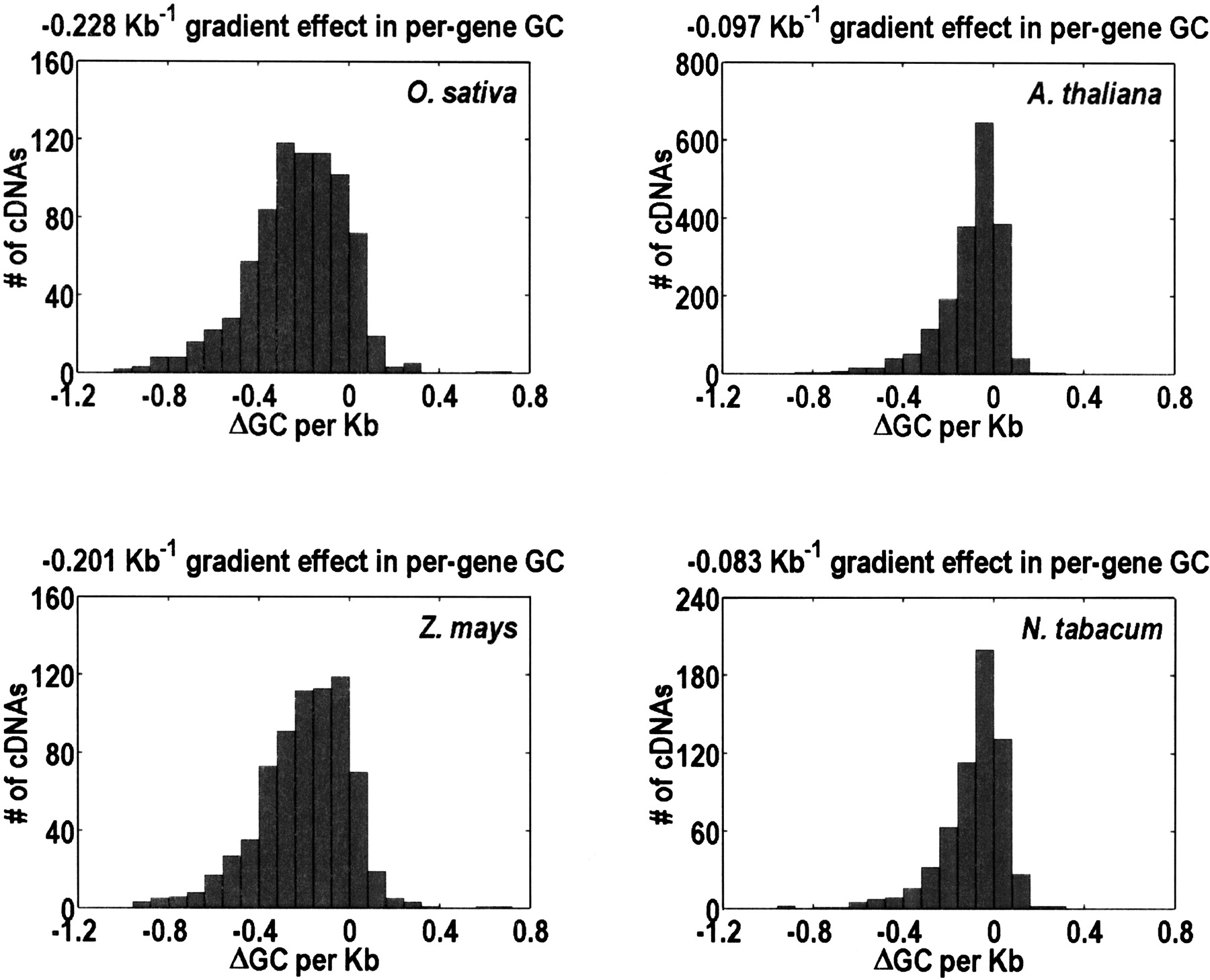 Compositional Gradients in Gramineae Genes
