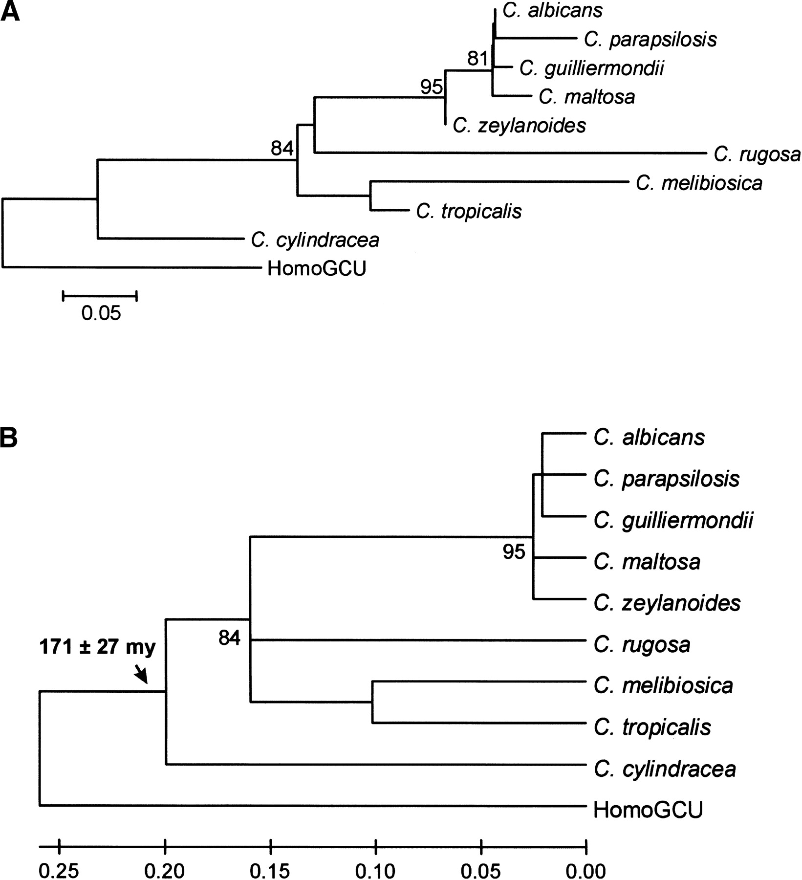 Comparative Evolutionary Genomics Unveils the Molecular Mechanism of ...