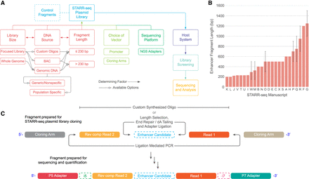 Challenges and considerations for reproducibility of STARR-seq assays