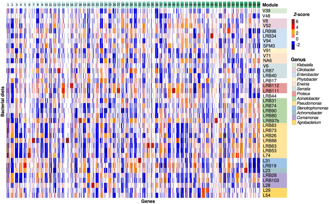 Interspecies systems biology links bacterial metabolic pathways to ...