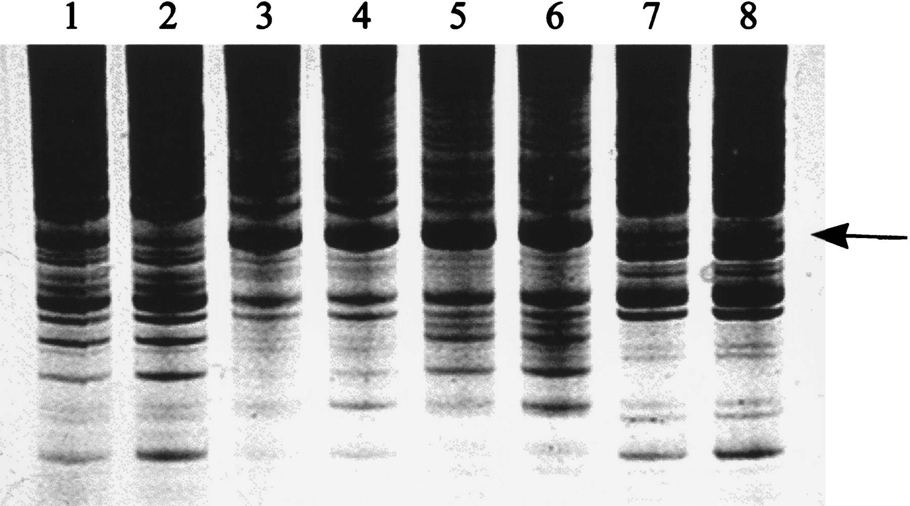 gr