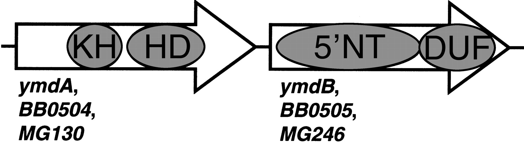 3f4_F1TT