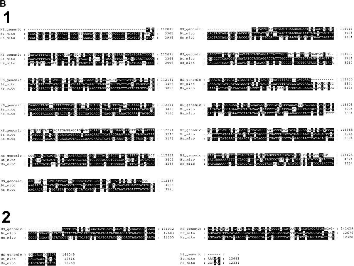 1f2b_F1TT