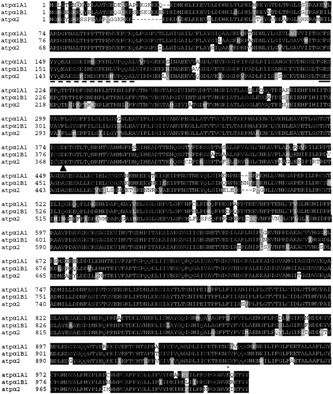 37910-30puf1_F1TT