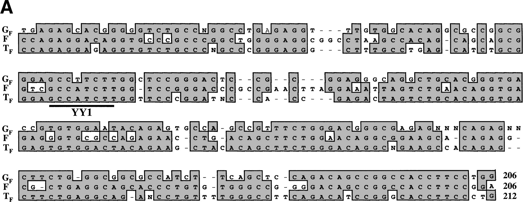 37910-13f1a_C1TT