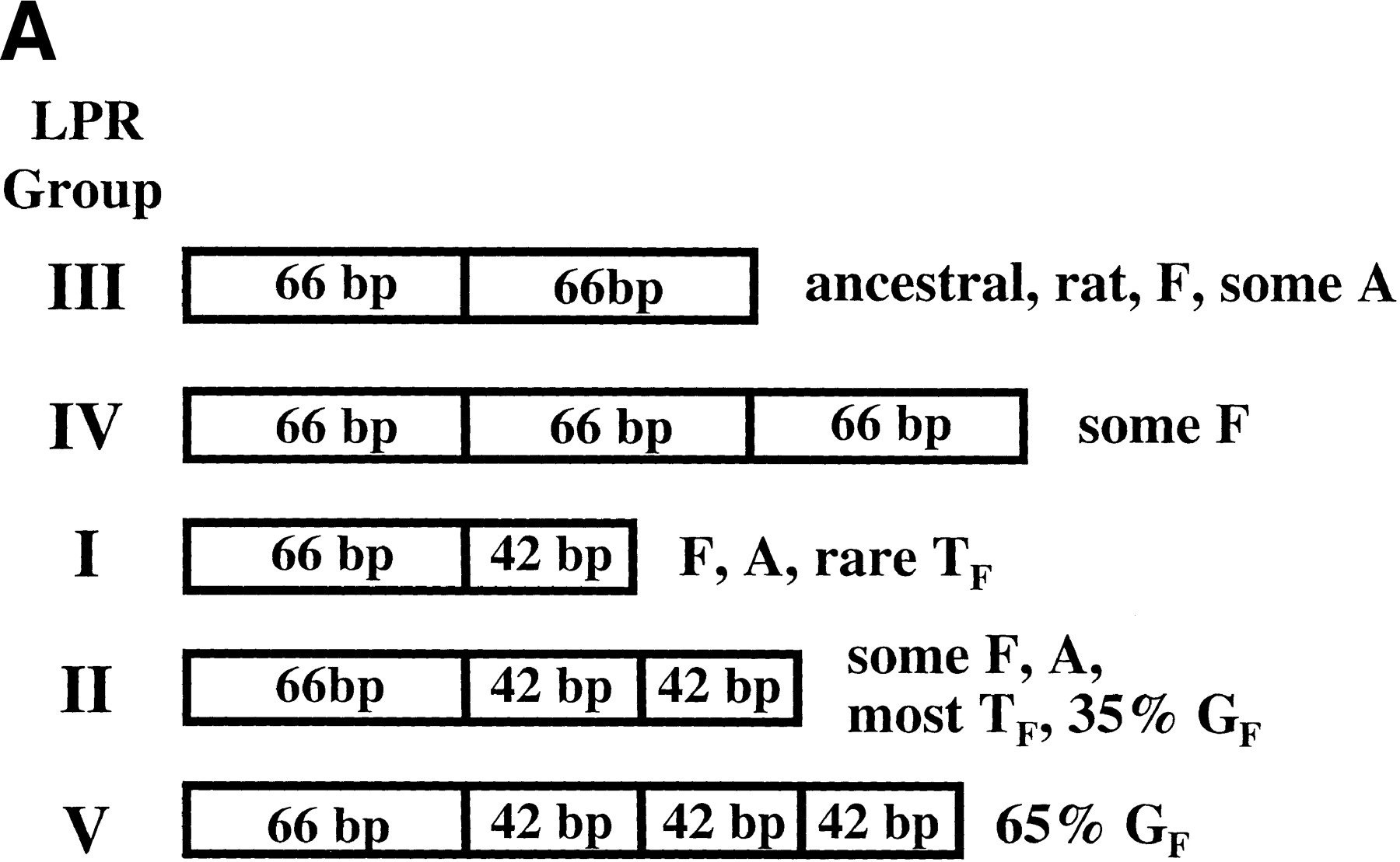 37910-13f2a_L1TT
