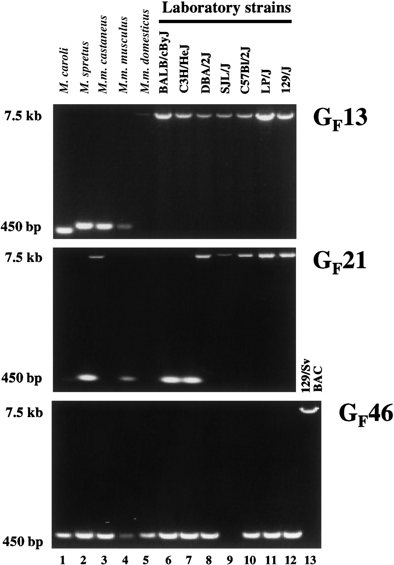 37910-13f5_C1TT