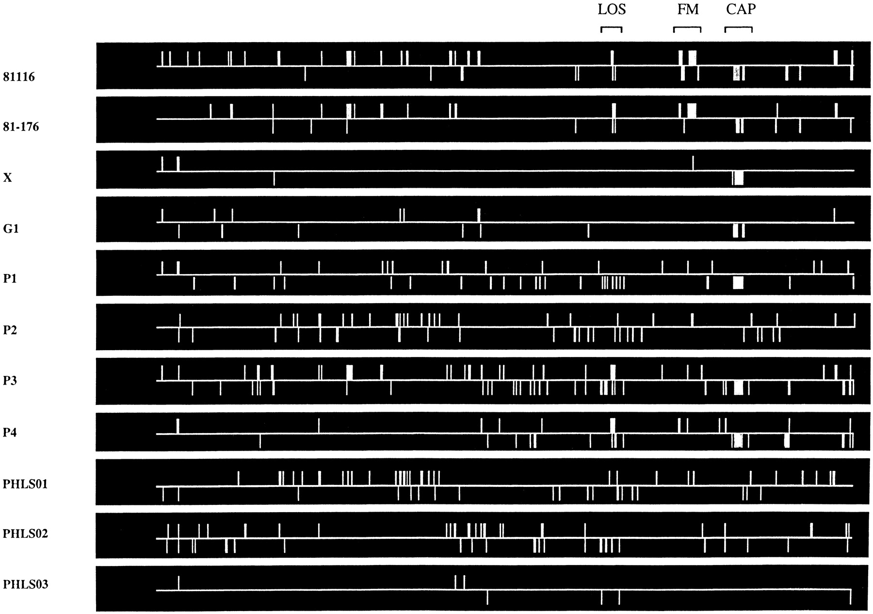 37910-4f1_L1TT_rev1