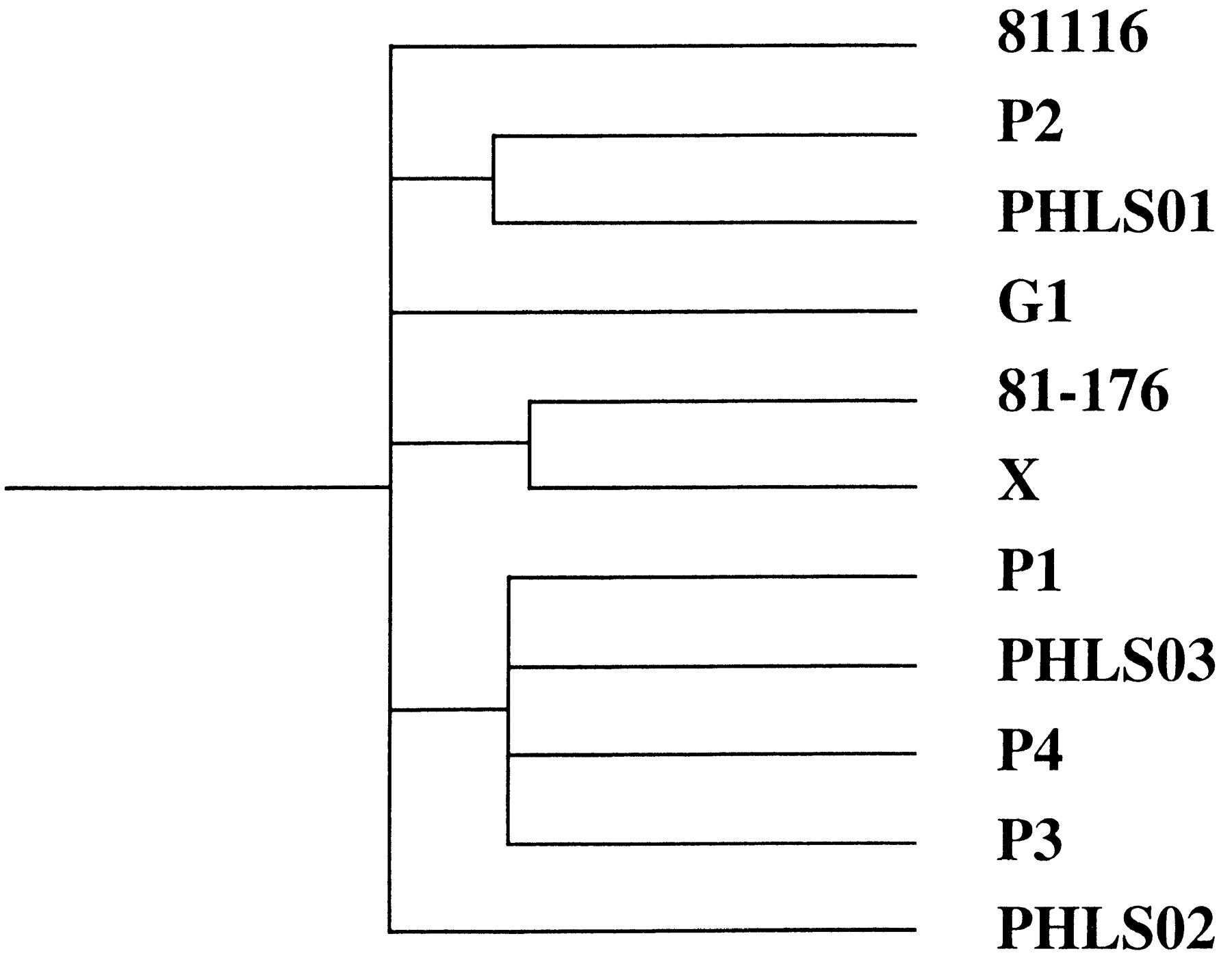 37910-4f2_L1TT