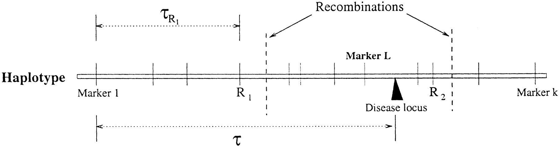 37910-12f5_L1TT