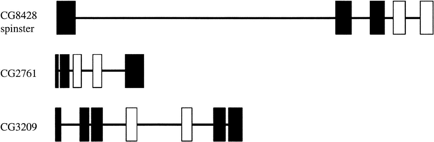 40495-7f6_L1TT