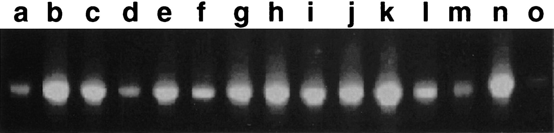 40495-26f6_C1TT