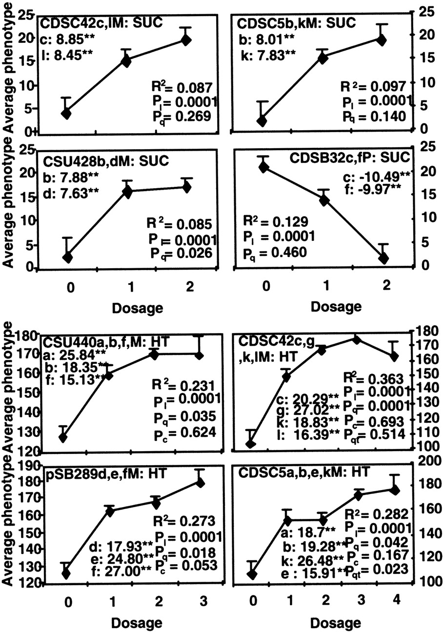 40495-18f2_L1TT