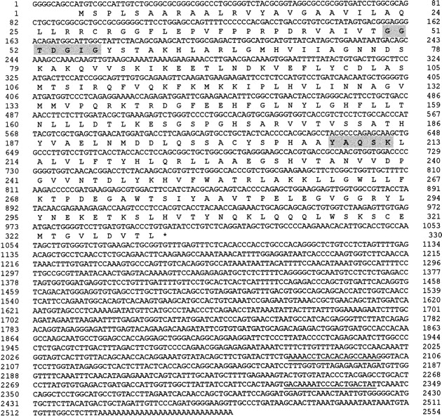 40495-9f1_L1TT