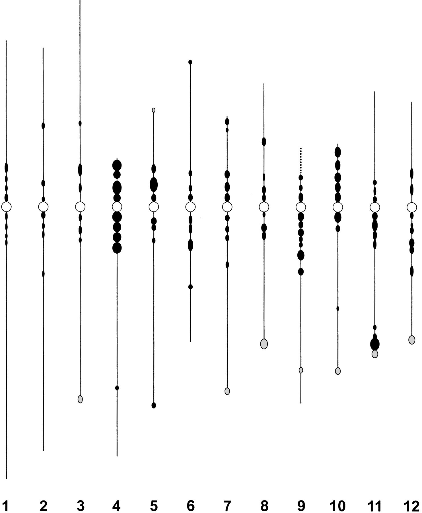 40495-8f3_F1TT