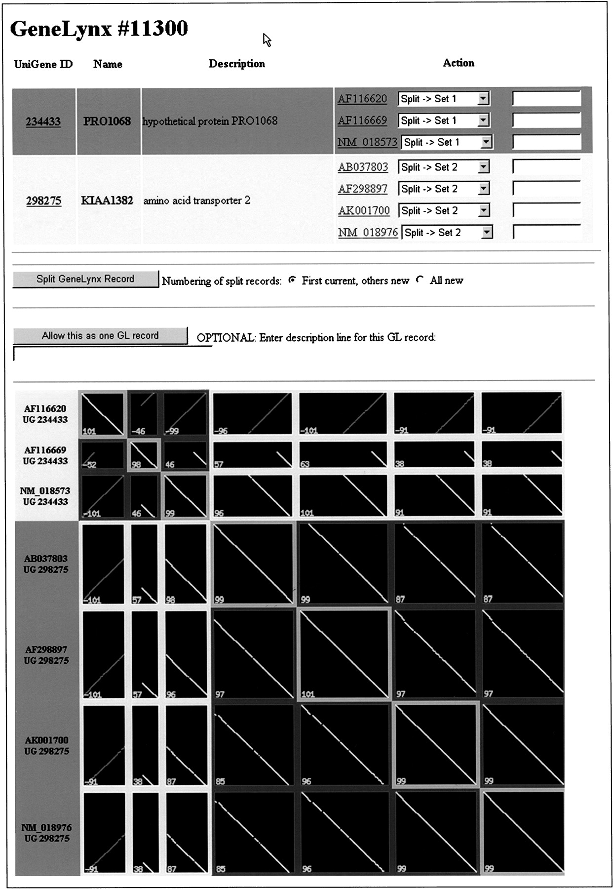 40495-4f4_F1TT