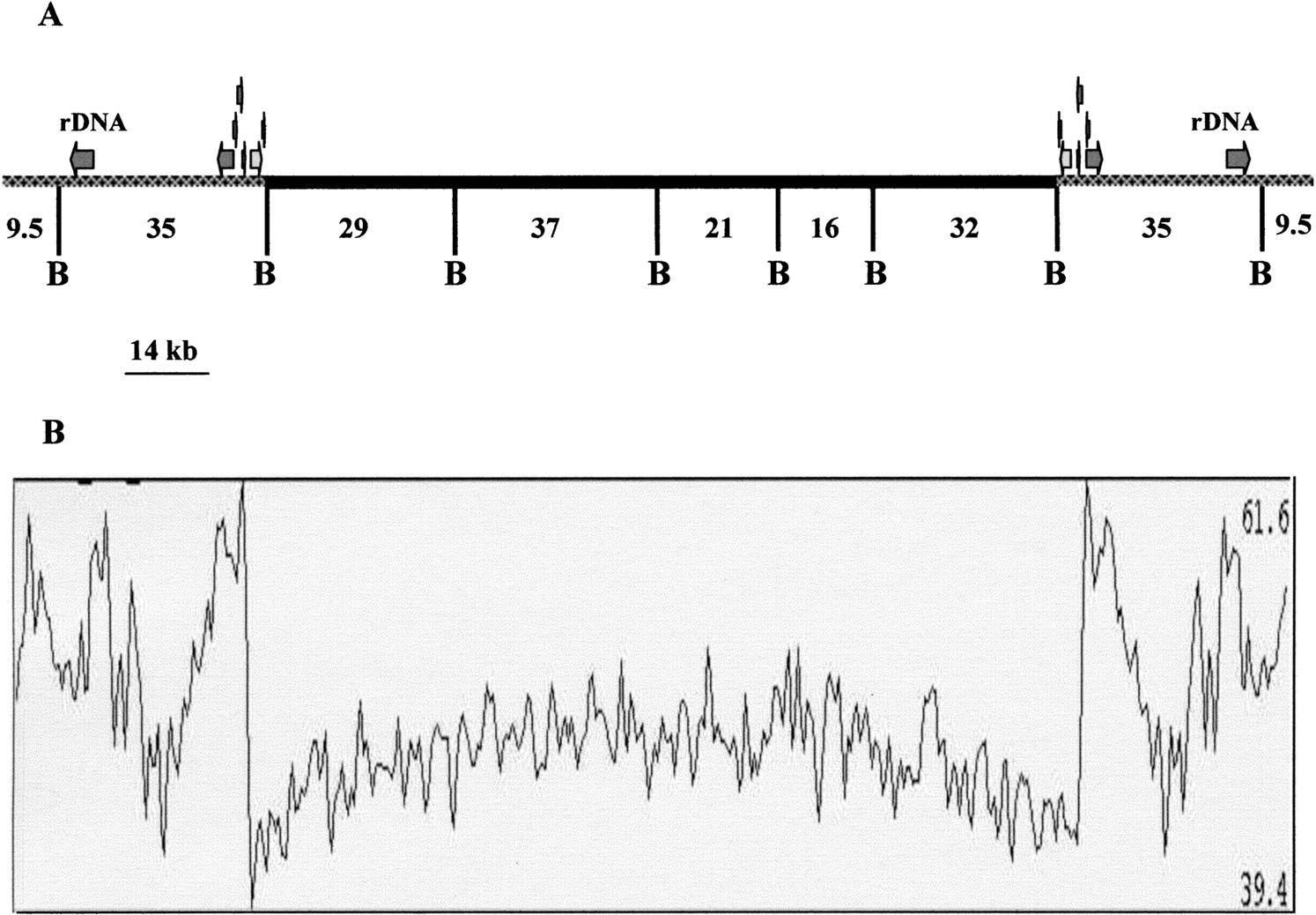 12f1_F1TT