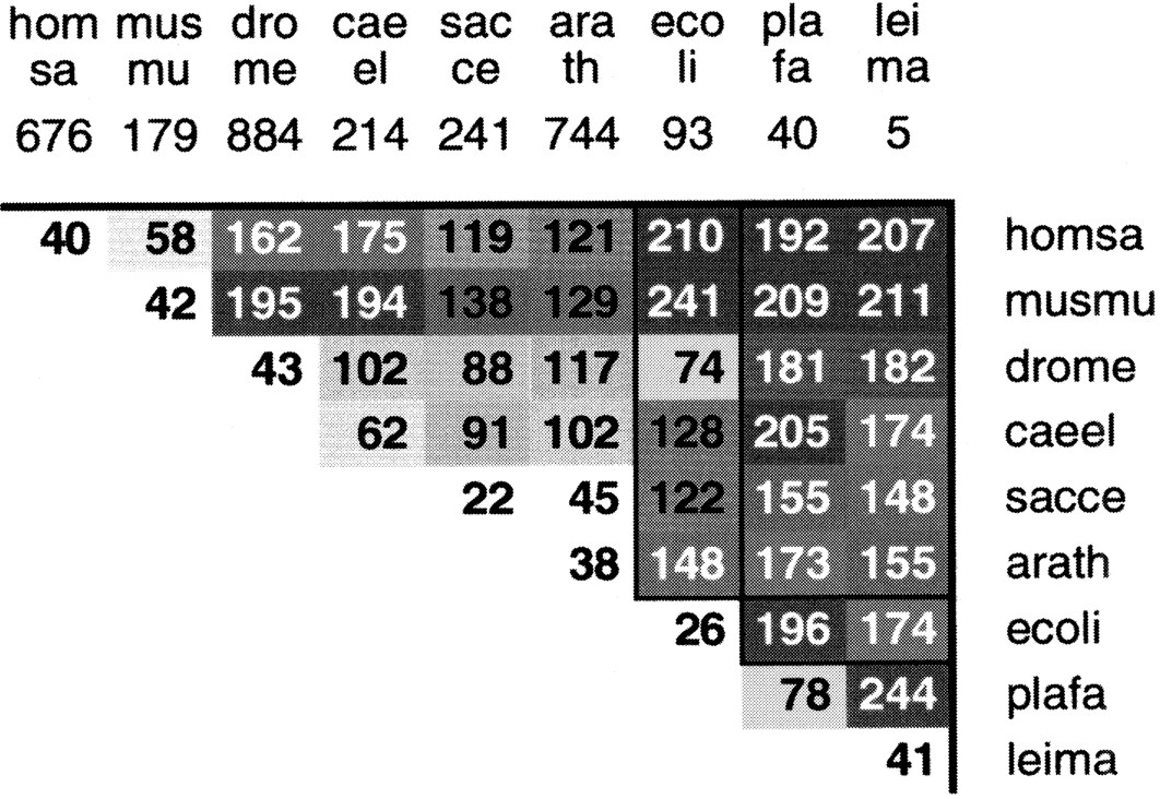11f4_F1TT