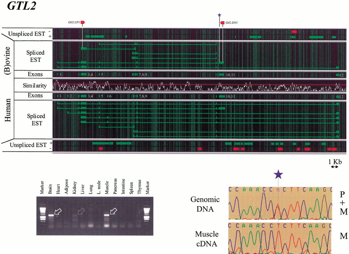 20f4_C4TT