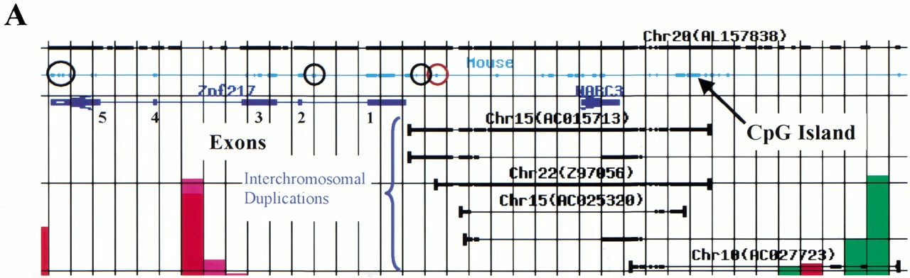 5f3a_C4TT