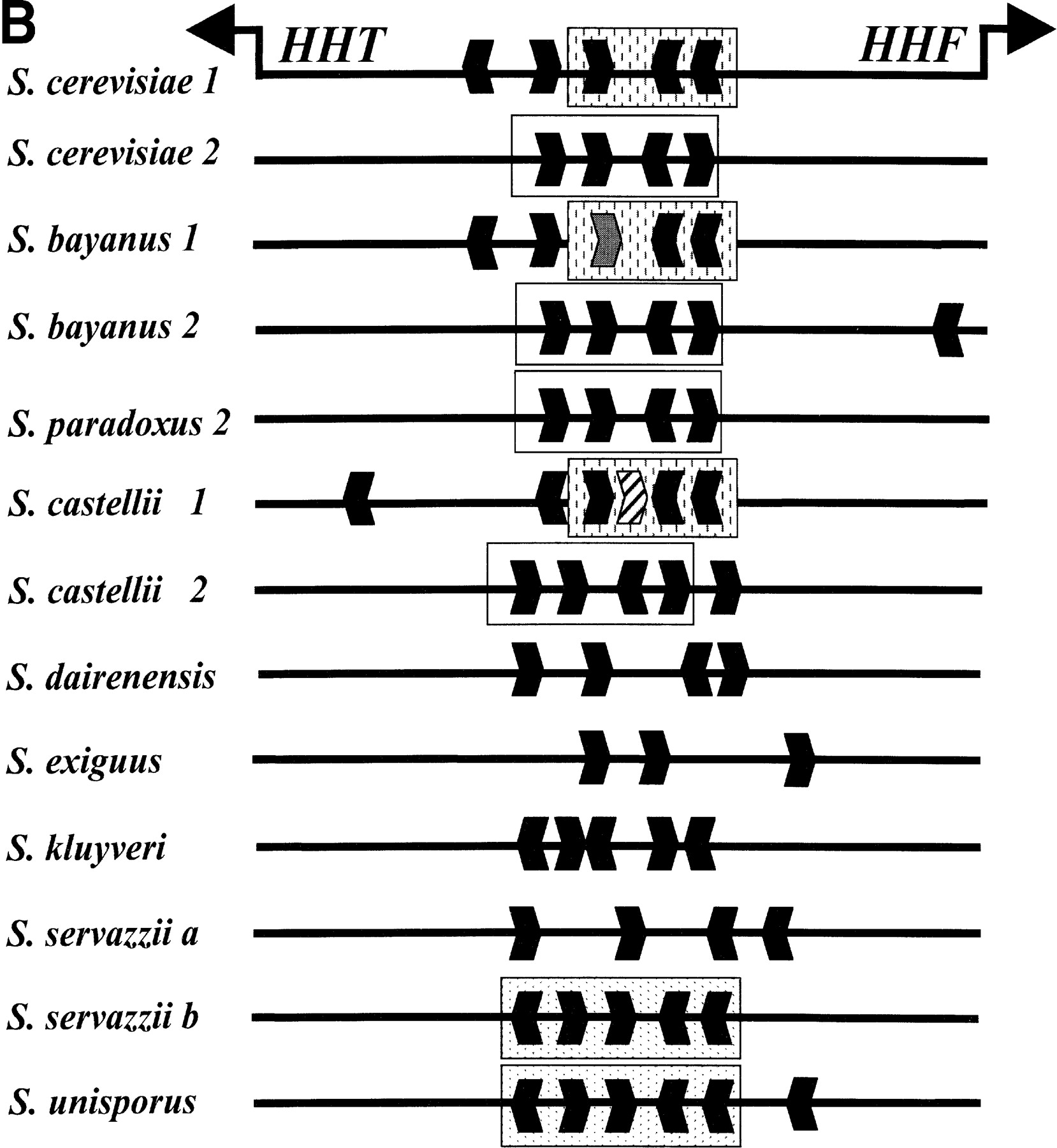 13f7b_L1TT_rev1