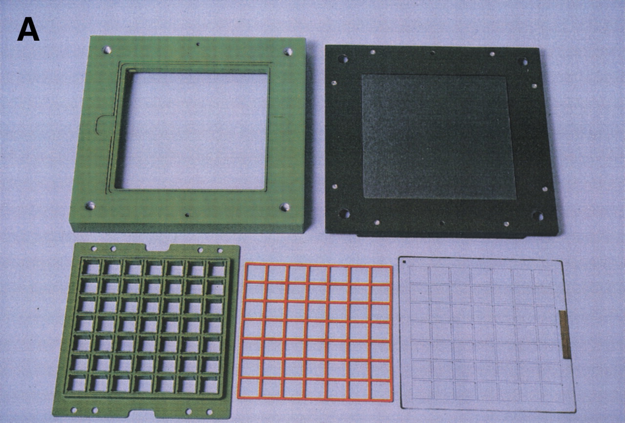 1f1a_T4TT_rev1