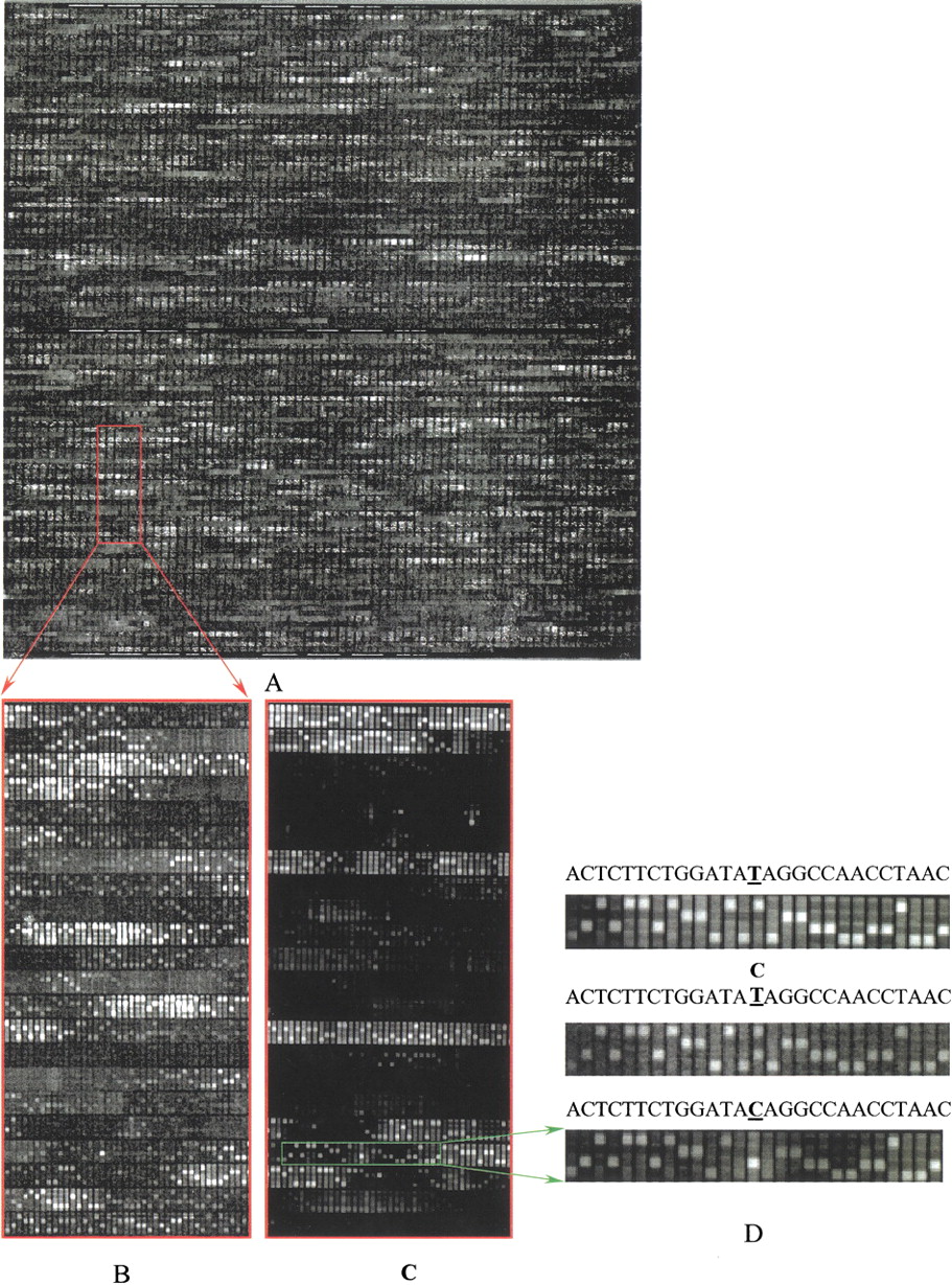 35957-3f2_C4TT