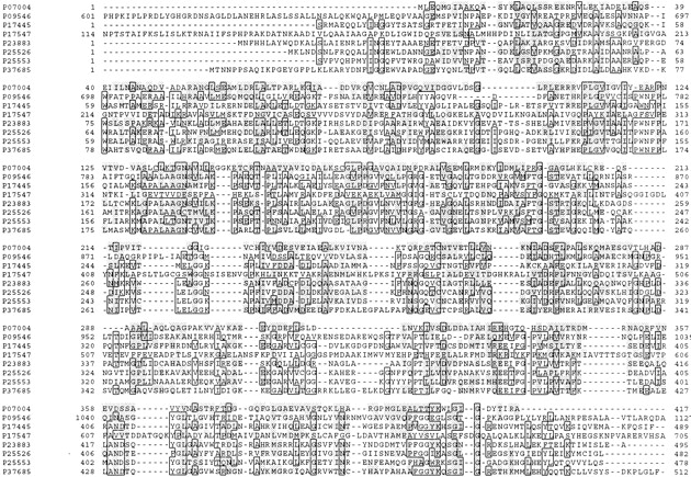 37167-13f2_F1TT