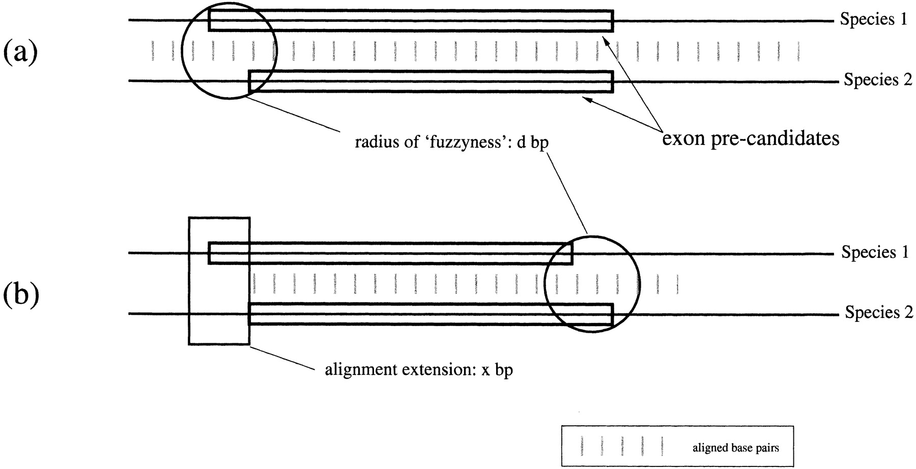 37167-9f6_L1TT