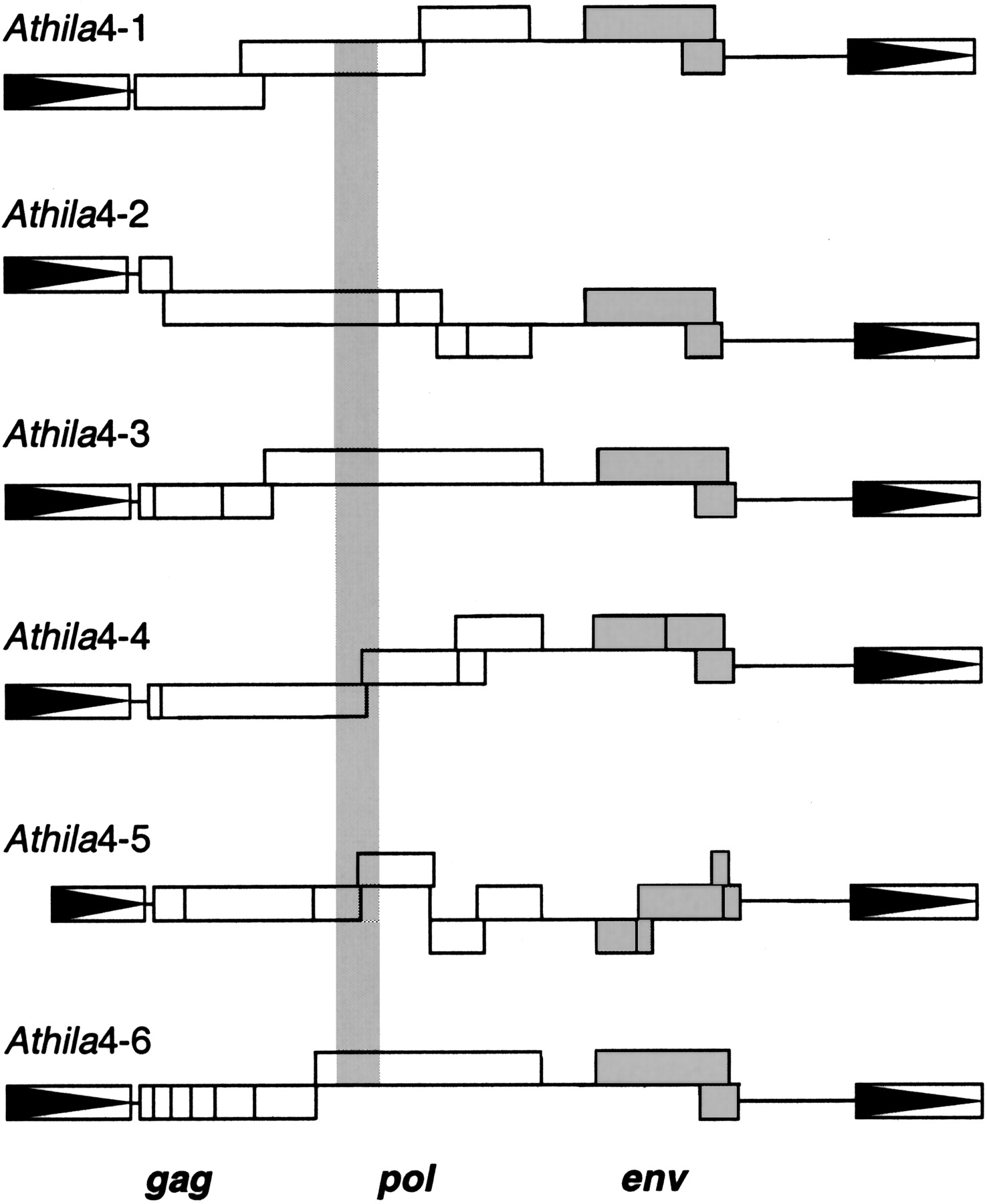 42244-14f2_F1TT