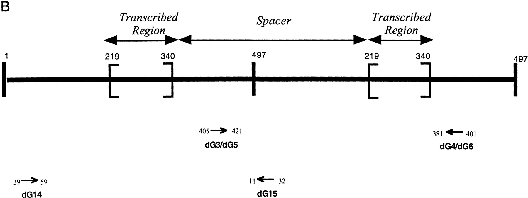 42244-9f2b_L1TT