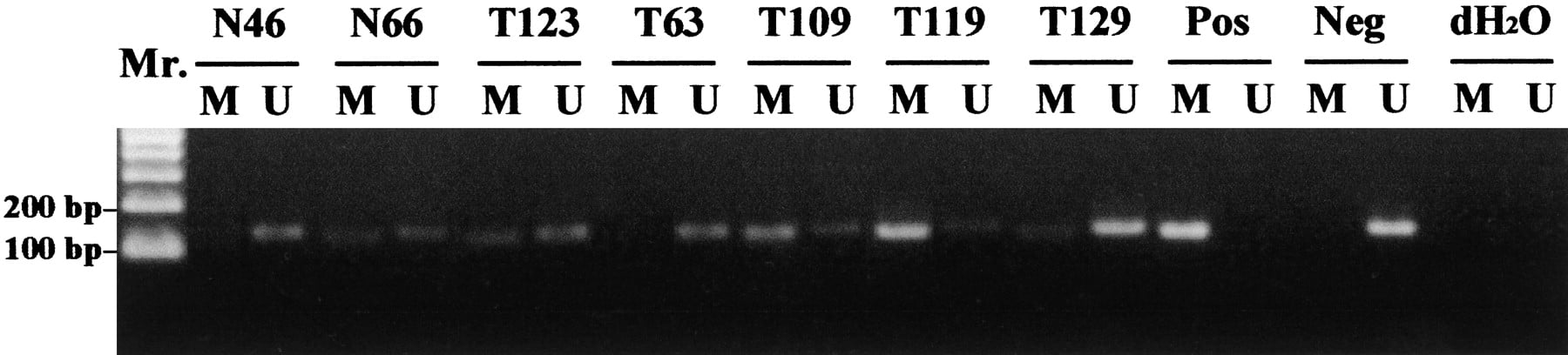 42244-23puf6_C1TT