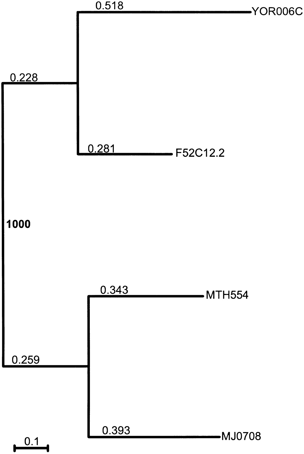 42244-2f2_L1TT