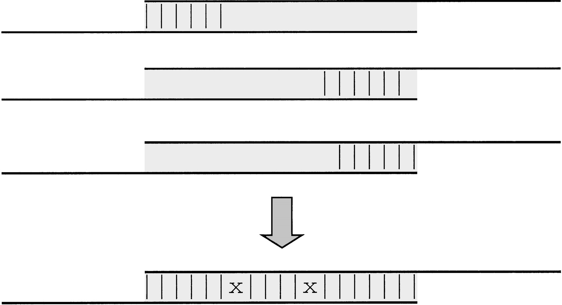 42244-16f8_F1TT