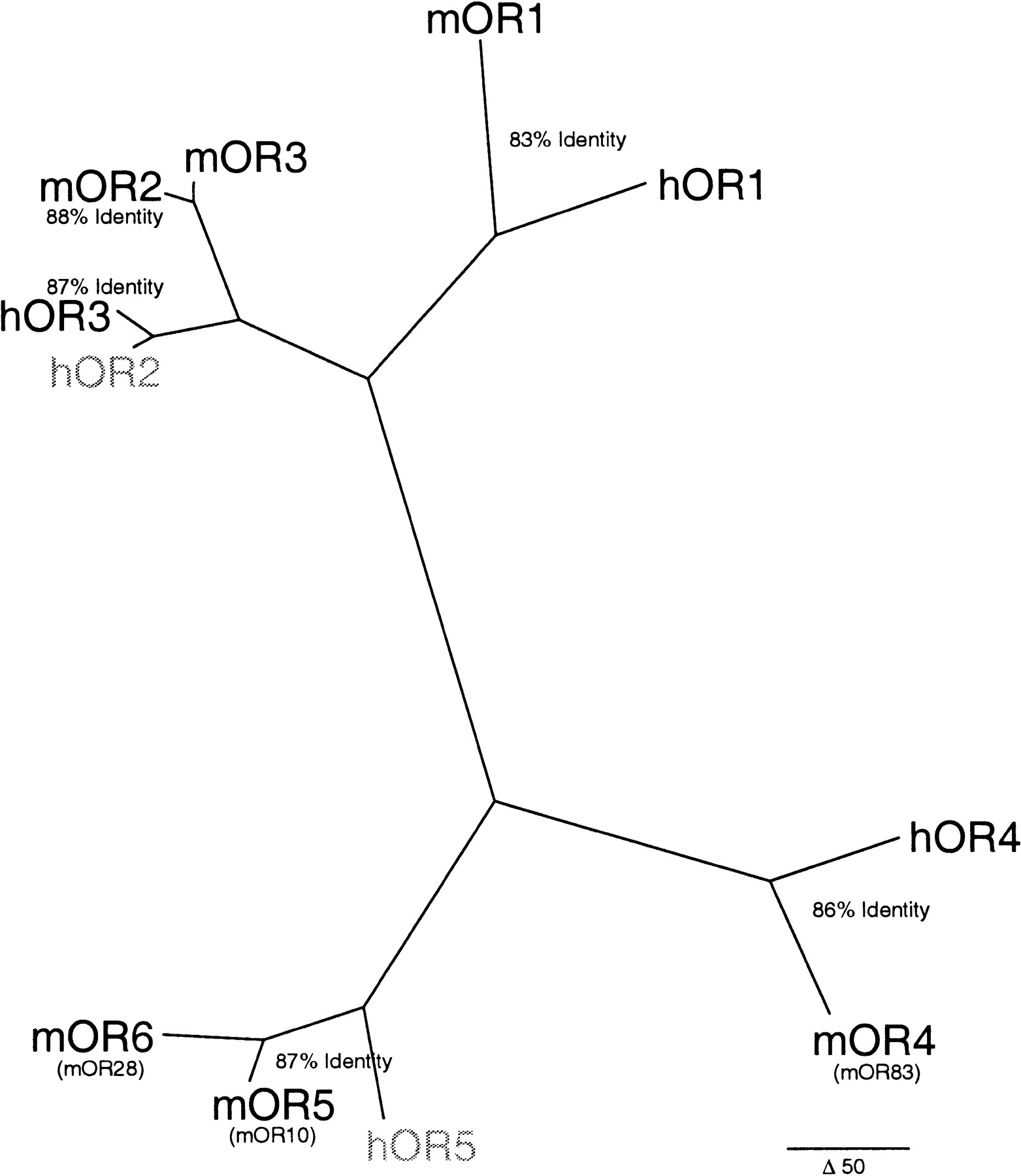 42244-6f2_L1TT