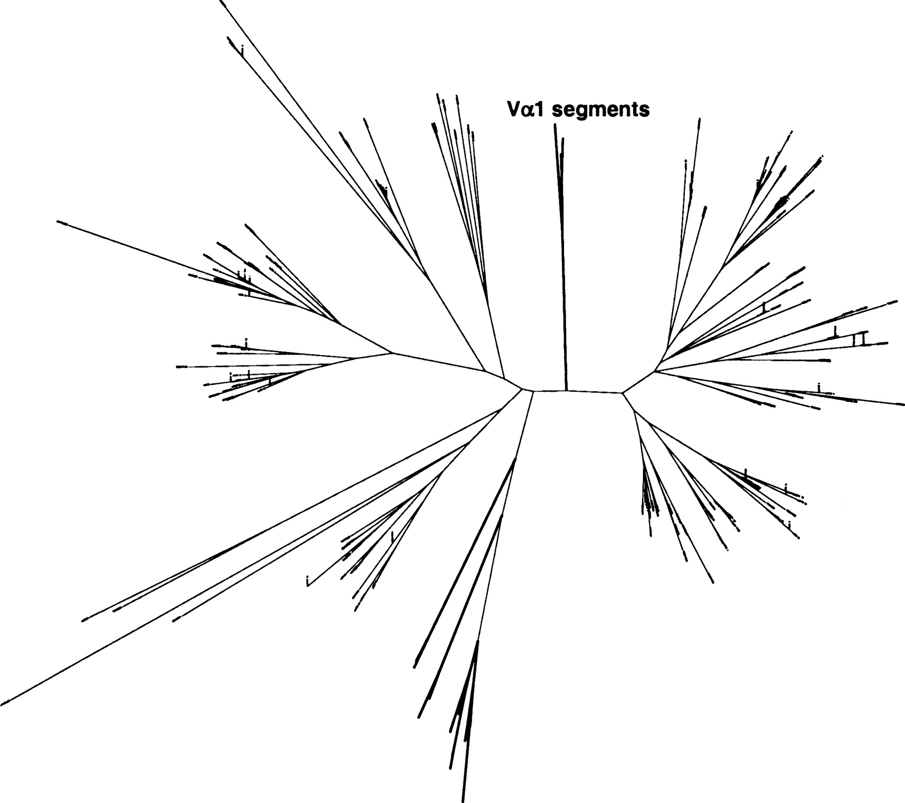 42244-6f6_L1TT