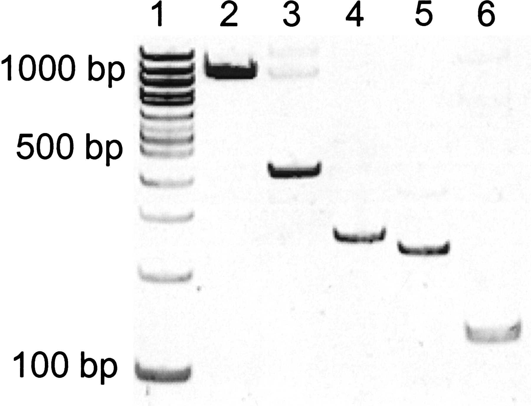 53865-18f3_C1TT