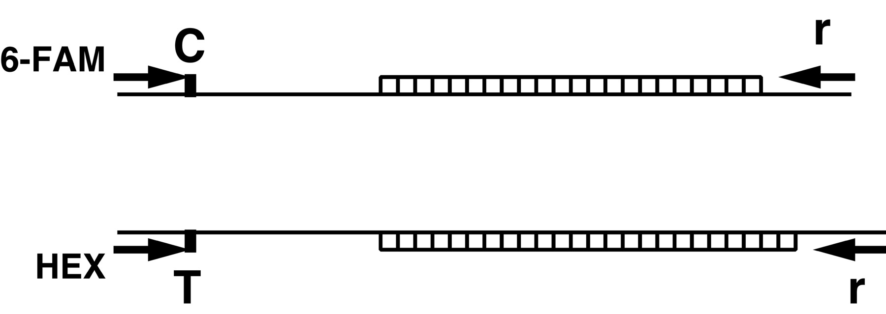 53865-15f1_L1OT