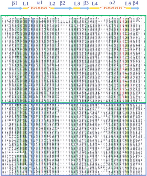 43477-15f3_C4TT