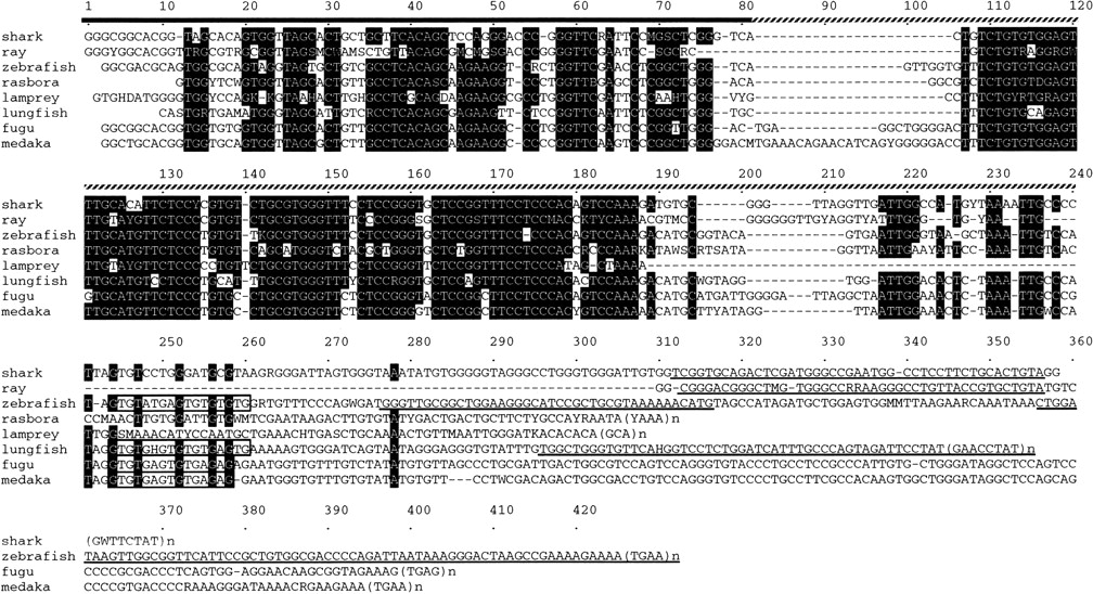 43477-12f1_L1TT