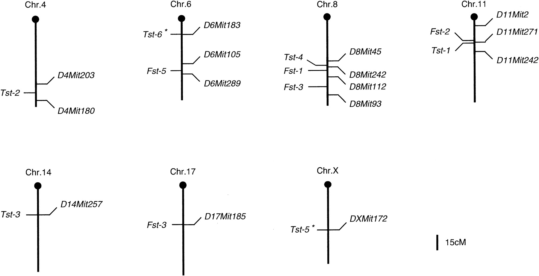 45009-18f6_L1TT