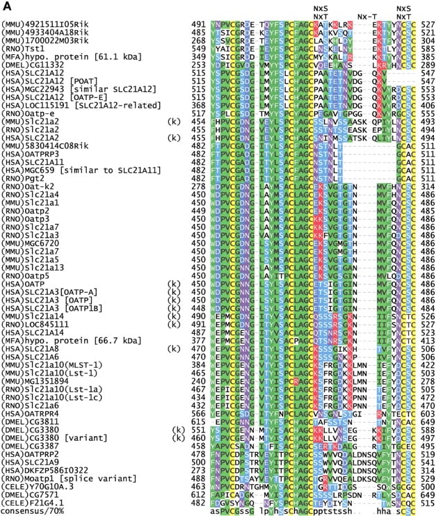 45009-3f4a_F4TT