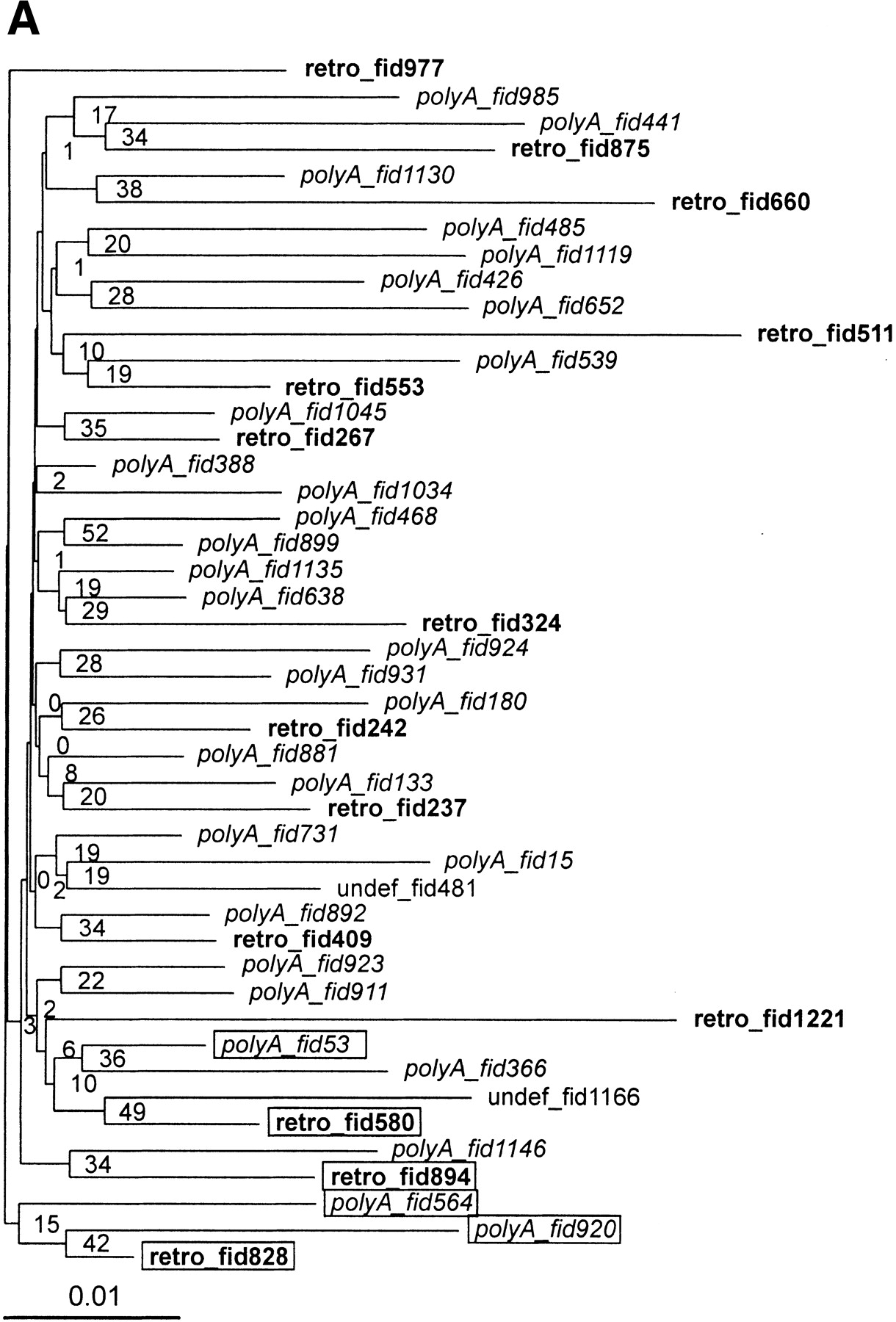45009-14f3a_L1TT