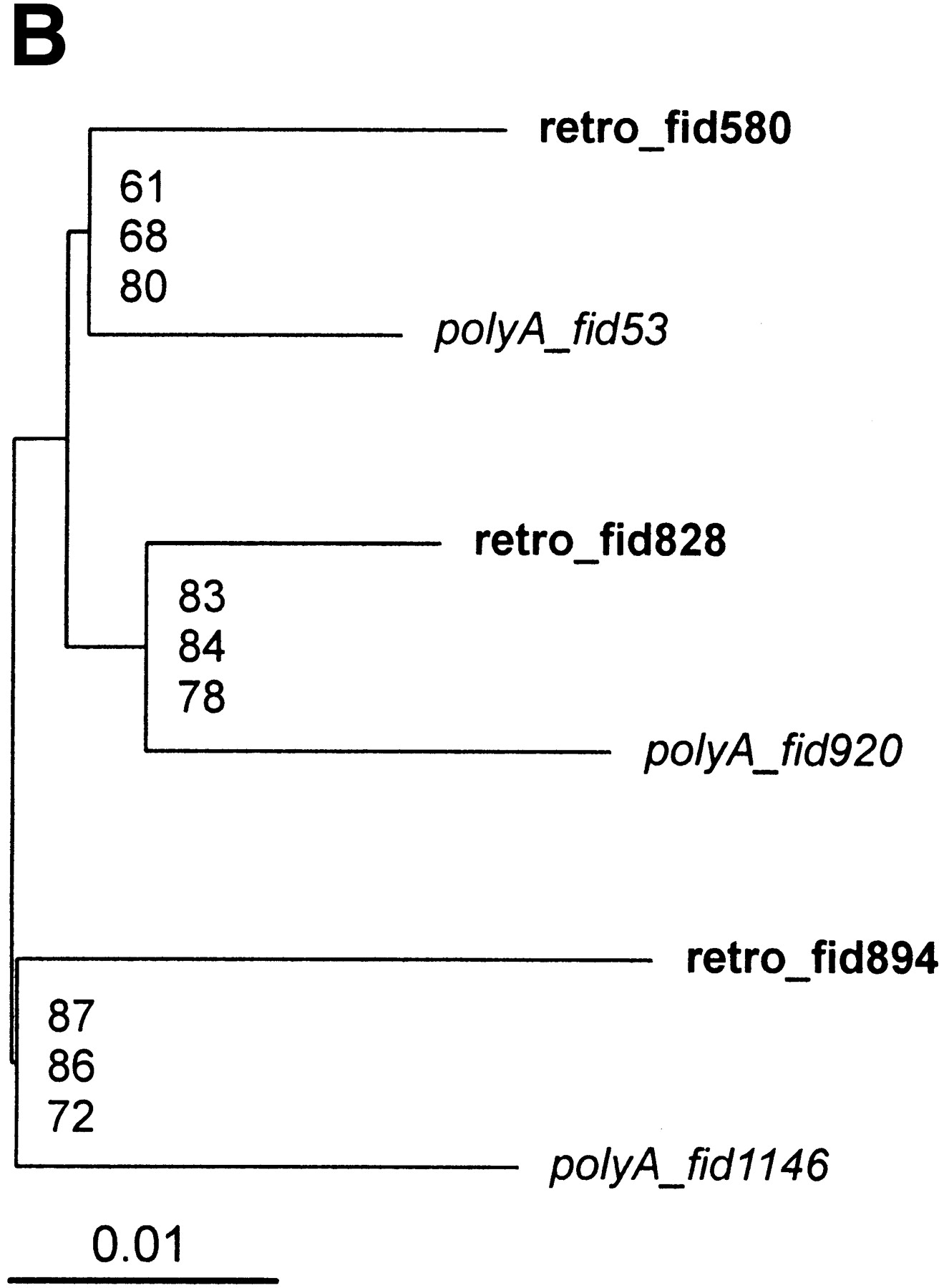 45009-14f3b_L1TT