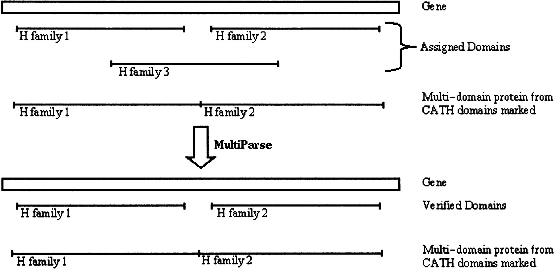 45009-19f9_L1TT