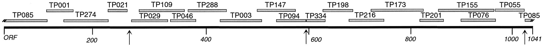45009-11f3_F1TT